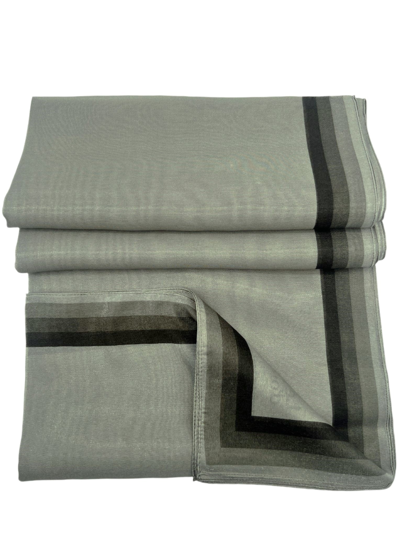 Organza Highlighted Border Scarf