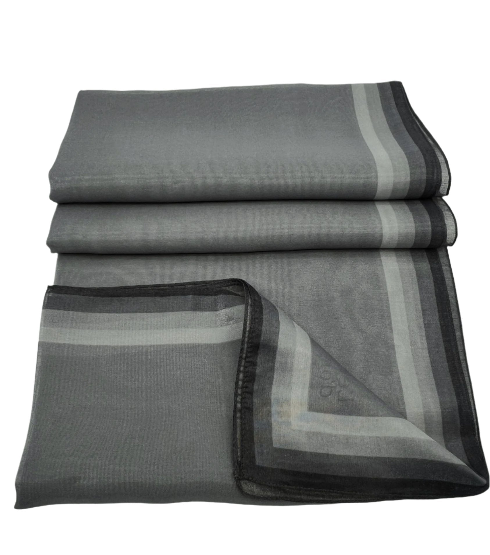 Organza Highlighted Border Scarf