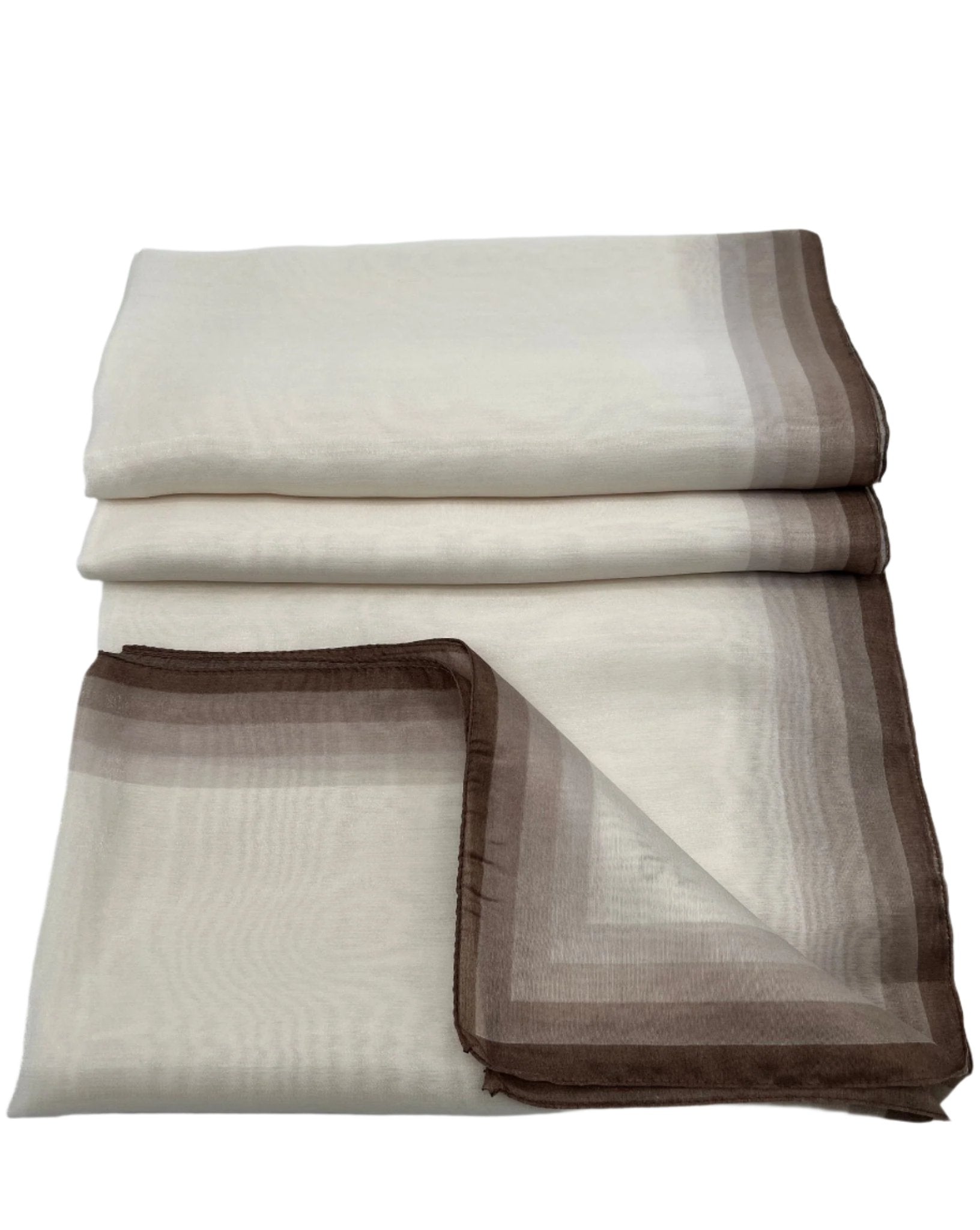 Organza Highlighted Border Scarf