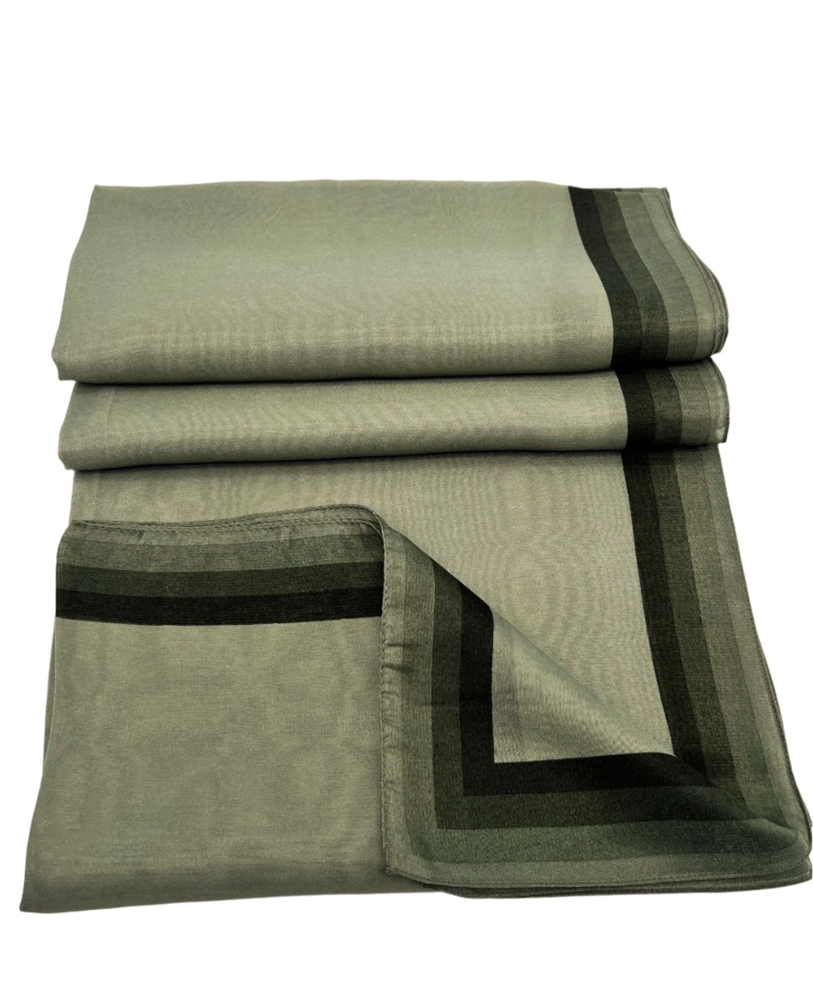 Organza Highlighted Border Scarf