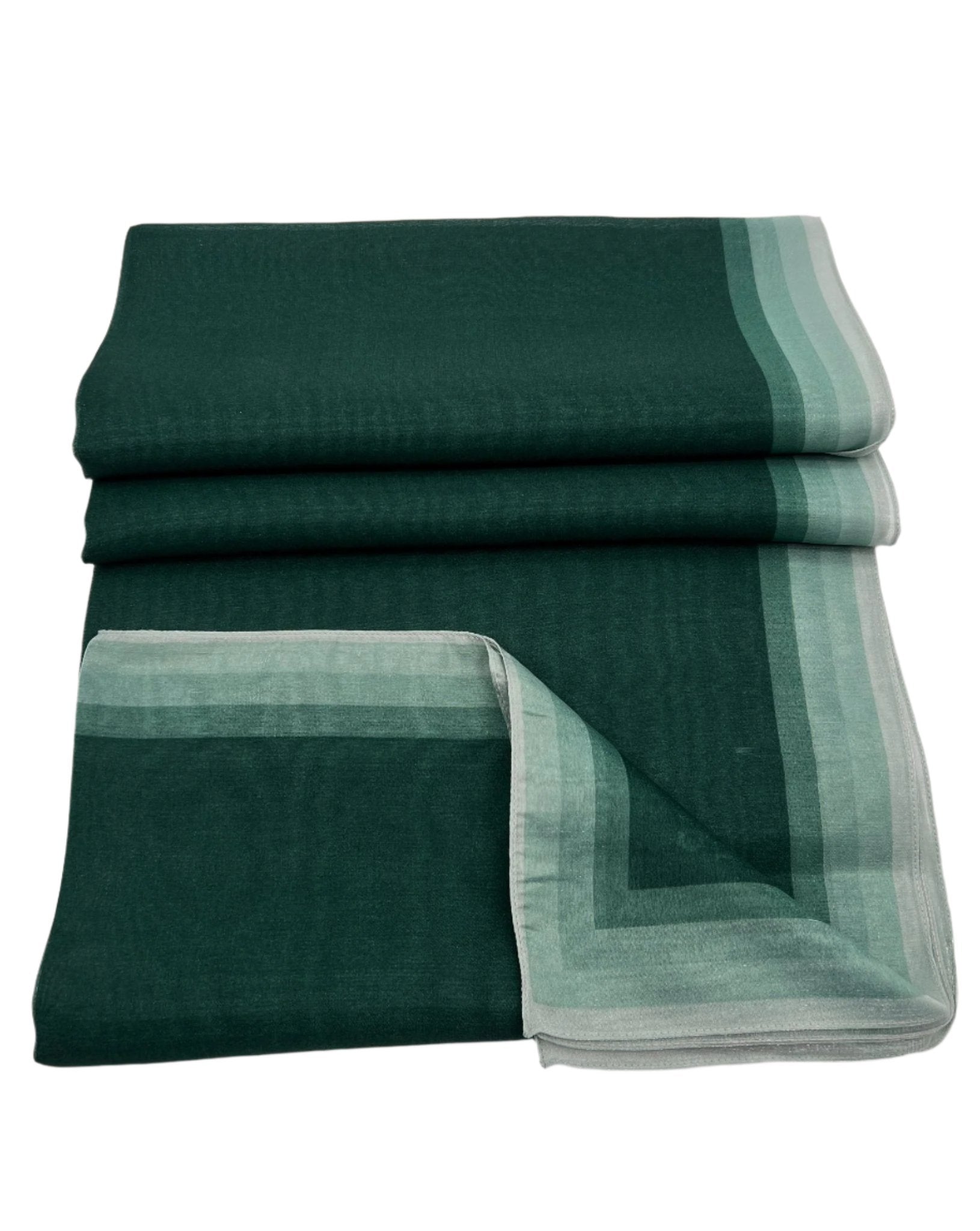 Organza Highlighted Border Scarf