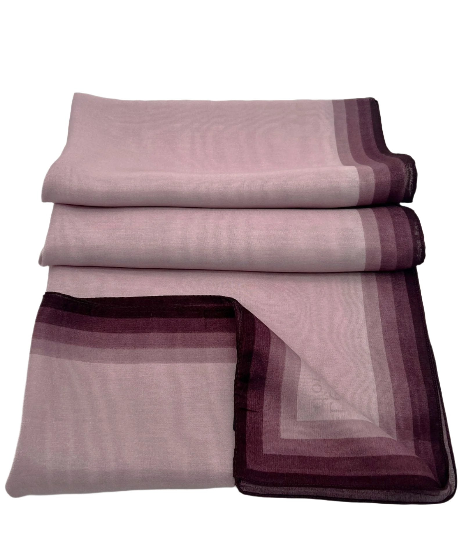 Organza Highlighted Border Scarf